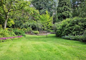 Optimiser l'expérience du jardin à Gemigny